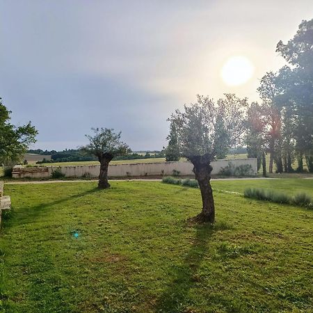 Maison Saint-Pe Beraut Екстер'єр фото